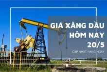 Giá xăng dầu hôm nay 20/5: Giá dầu tăng trở lại không quá 0,5%
