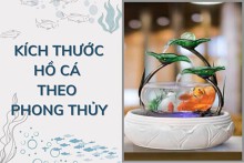 Chi tiết kích thước hồ cá theo phong thủy chuẩn xác nhất
