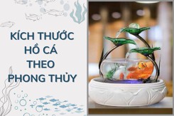 Chi tiết kích thước hồ cá theo phong thủy chuẩn xác nhất