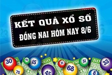 KQXSDN - Kết quả xổ số Đồng Nai hôm nay Thứ Tư 8/6/2022: Giải đặc biệt 976738