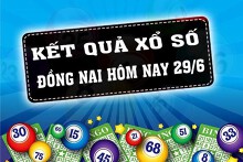 KQXSDN - Kết quả xổ số Đồng Nai hôm nay Thứ Tư 29/6/2022: Giải đặc biệt 560146