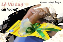 Lễ Vu Lan cài hoa gì: Ý nghĩa đặc biệt của các màu hoa cài áo