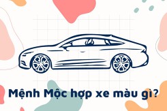 Mệnh Mộc hợp xe màu gì 2022 để thu vượng khí, ‘hái’ tài lộc?
