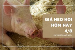 Giá heo hơi hôm nay 4/8: Tăng giảm trái chiều 1.000 - 3.000 đồng/kg