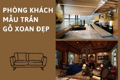 Phòng khách mẫu trần gỗ xoan đẹp: Lựa chọn lý tưởng cho không gian hiện đại
