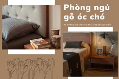 Phòng ngủ gỗ óc chó: Xu hướng lựa chọn nội thất đẹp cho gia đình