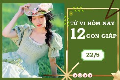 Tử vi hàng ngày hôm nay của 12 con giáp 22/5/2022: Tý tài lộc dồi dào, Thìn gặp họa tiểu nhân