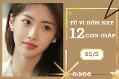 Tử vi hàng ngày hôm nay của 12 con giáp 25/5/2022: Mão tài lộc hư hao, Mùi công danh như nguyện