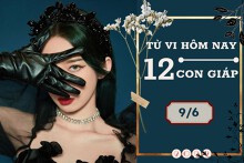 Tử vi hàng ngày hôm nay của 12 con giáp 9/6/2022: Ngọ sự nghiệp sáng rõ, Tuất tài lộc sa sút
