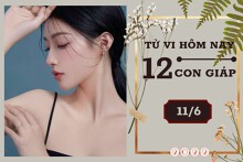 Tử vi hàng ngày hôm nay của 12 con giáp 11/6/2022: Thân sự nghiệp sa sút, Tý tài lộc gặp hạn