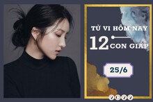Tử vi hàng ngày hôm nay của 12 con giáp 25/6/2022: Dần tài lộc gặp hạn, Tuất tình duyên nở rộ