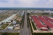 Đại bàng làm tổ trên đất lành khu công nghiệp