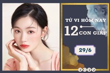 Tử vi hàng ngày hôm nay của 12 con giáp 29/6/2022: Ngọ tài lộc rủng rỉnh, Dần tình cảm thăng hoa