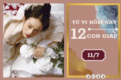 Tử vi hàng ngày hôm nay của 12 con giáp 11/7/2022: Ngọ tình duyên thông thuận, Dần tài lộc biến động