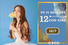 Tử vi hàng ngày hôm nay của 12 con giáp 12/7/2022: Mùi sự nghiệp kém sắc, Mão tài lộc bất ổn