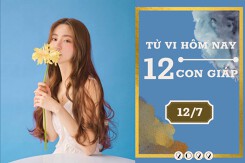 Tử vi hàng ngày hôm nay của 12 con giáp 12/7/2022: Mùi sự nghiệp kém sắc, Mão tài lộc bất ổn