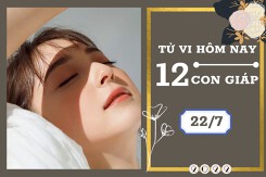 Tử vi hàng ngày hôm nay của 12 con giáp 22/7/2022: Mùi sự nghiệp trôi chảy, Sửu tài lộc sa sút