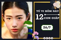 Tử vi hàng ngày hôm nay của 12 con giáp 26/7/2022: Hợi gia đình viên mãn, Tỵ tài lộc khả quan