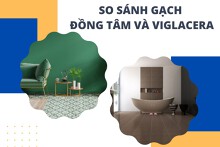 So sánh gạch Đồng Tâm và Viglacera có điểm giống và khác nhau nào?