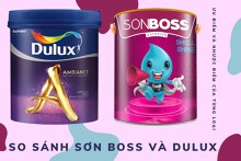 So sánh sơn Boss và Dulux: Đâu là những điểm vượt trội và hạn chế?