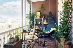 Ban công chung cư nên trồng cây gì? Gợi ý 5 loại cây dễ trồng, dễ chăm sóc