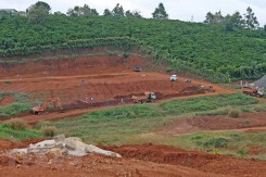Thủ tướng chỉ đạo xử lý nghiêm trường hợp san ủi đồi núi để phân lô bán nền
