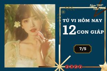 Tử vi hàng ngày hôm nay 7/5 của 12 con giáp: Tý đại cát đại lợi, Dần tài lộc trục trặc