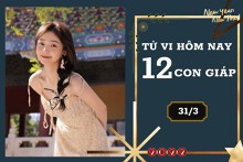 Tử vi hàng ngày hôm nay 31/3 của 12 con giáp: Dần tài lộc vượng phát, Thân tình duyên lý tưởng