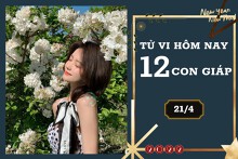 Tử vi hàng ngày hôm nay 21/4 của 12 con giáp: Tỵ thu nhập tăng cao, Hợi gặp nhiều rắc rối
