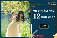 Tử vi hàng ngày hôm nay 4/5 của 12 con giáp: Ngọ cần kiên định hơn, Tý công danh rạng rỡ