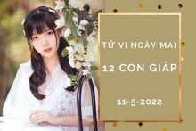 Tử vi ngày mai của 12 con giáp 11/5/2022: Mão gặp may mắn, Tý tài lộc dồi dào