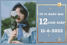 Tử vi ngày mai của 12 con giáp 11/6/2022: Mão tài lộc vượng khí, Tuất tình yêu bấp bênh