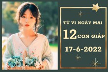 Tử vi ngày mai của 12 con giáp 17/6/2022: Ngọ tài lộc vô lo, Tý tìm thấy được tình yêu