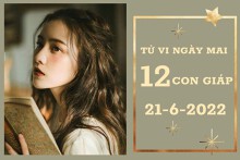 Tử vi ngày mai của 12 con giáp 21/6/2022: Hợi tài lộc gặp Cát lành, Dậu tình cảm bình yên