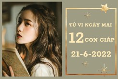 Tử vi ngày mai của 12 con giáp 21/6/2022: Hợi tài lộc gặp Cát lành, Dậu tình cảm bình yên