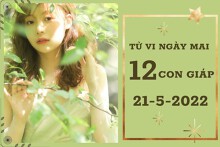 Tử vi ngày mai của 12 con giáp 21/5/2022: Thân tài lộc vượng phát, Dậu công việc dễ dàng
