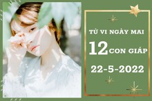Tử vi ngày mai của 12 con giáp 22/5/2022: Tuất tình cảm xuống dốc, Hợi tài lộc gặp vận may