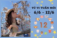 Tử vi tuần mới của 12 con giáp 6/6-12/6: Tý tài lộc tuột dốc, Tỵ tình cảm tránh cãi vã