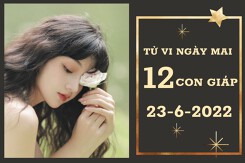 Tử vi ngày mai của 12 con giáp 23/6/2022: Sửa tài lộc lên xuống bất thường, Tỵ tình cảm ổn định