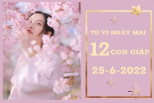 Tử vi ngày mai của 12 con giáp 25/6/2022: Thìn tài lộc đi xuống, Dậu tình cảm hòa hợp
