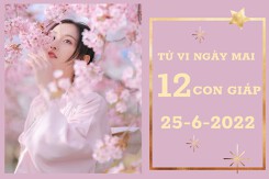 Tử vi ngày mai của 12 con giáp 25/6/2022: Thìn tài lộc đi xuống, Dậu tình cảm hòa hợp