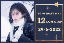 Tử vi ngày mai của 12 con giáp 29/6/2022: Mùi tài lộc rực sáng, Tý tình cảm không êm ấm
