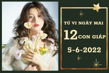 Tử vi ngày mai của 12 con giáp 5/6/2022: Mùi tài lộc gia tăng, Mão công việc tốt