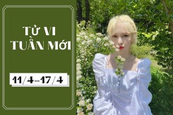 Tử vi tuần mới của 12 con giáp, 12 cung hoàng đạo (11/4-17/4): Hợi dễ gặp thị phi, Song Tử đón tin vui