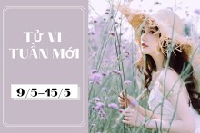 Tử vi tuần mới của 12 con giáp (9/5-15/5): Tý gặp vận may, Sửu có cơ hội học hỏi