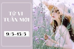 Tử vi tuần mới của 12 con giáp (9/5-15/5): Tý gặp vận may, Sửu có cơ hội học hỏi
