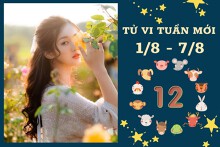 Tử vi tuần mới của 12 con giáp 1/8-7/8: Tý tài lộc ổn định, Mùi vượng tình cảm