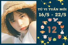 Tử vi tuần mới của 12 con giáp 16/5-22/5: Dần sự nghiệp trắc trở, Mão phát tài phát lộc