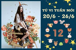 Tử vi tuần mới của 12 con giáp 20/6-26/6: Ngọ tài lộc rực rỡ, Dậu tình cảm khá viển vông