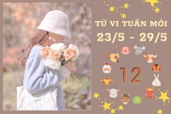 Tử vi tuần mới của 12 con giáp 23/5-29/5: Ngọ tài lộc vượng phát, Mùi sự nghiệp nên cẩn trọng